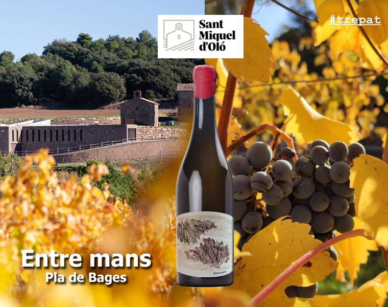 Novetat de la setmana -  Entre mans